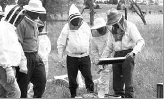 Students at the Bee School can suit up and watch while a hive of live bees is opened and inspected. The school will be held March 23 in Brenham.            Contributed photo.