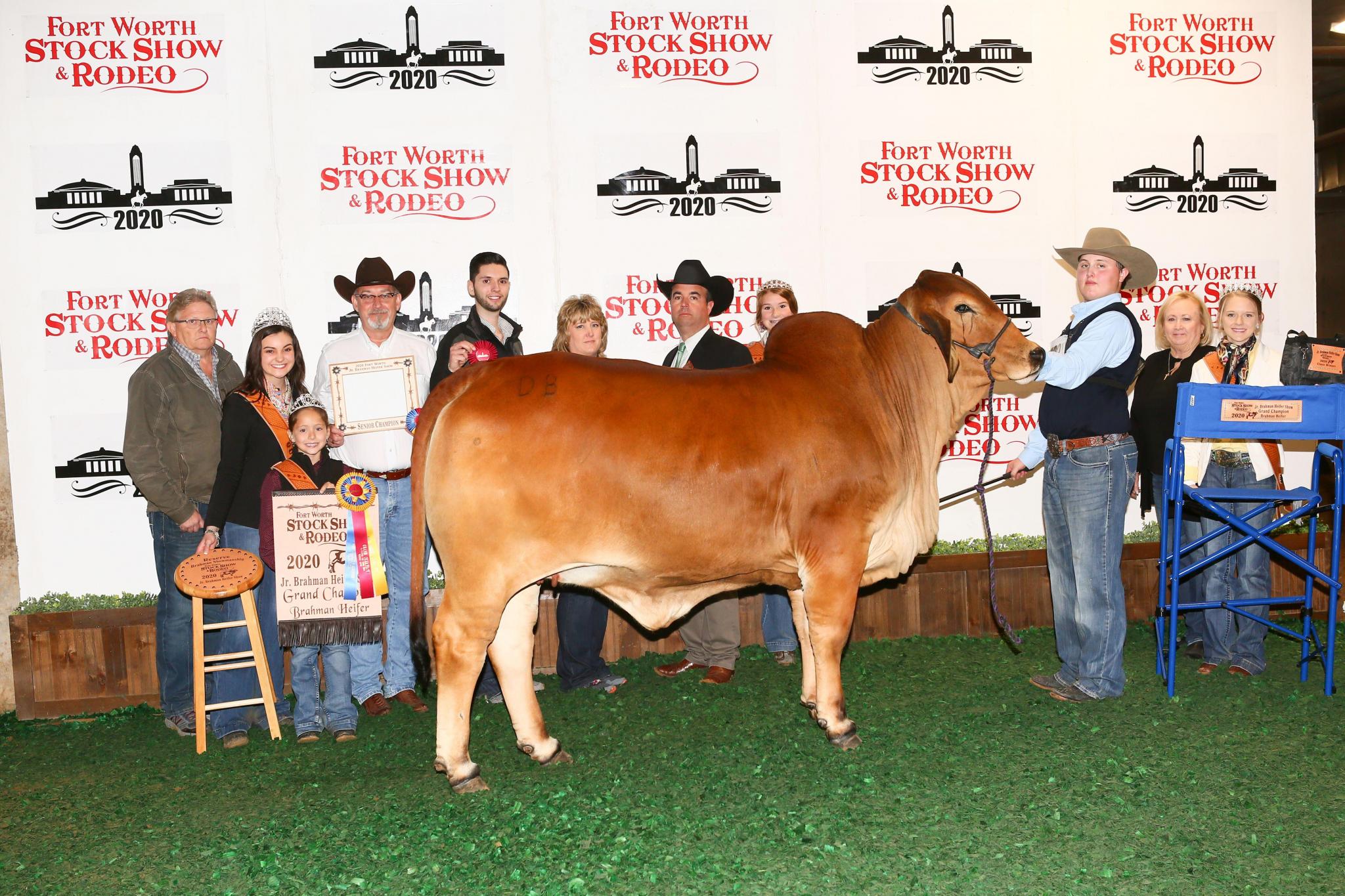Chilton 4-H member Collin Kyle Parker captured Senior Champion Heifer and Grand Champion Heifer with DB Southern Style 1/553 in the Junior Brahman Heifer Show at the 2020 Fort Worth Stock Show &amp; Rodeo on Jan. 27.