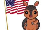 Armadillo Naming Frenzy Continues — Cast Your Vote!