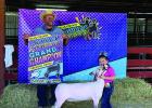 Scenes from the Falls County Youth Fair Goat & Lamb Show