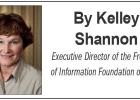 Open government impacts