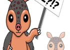 Name the Armadillo