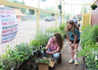 Alligator Creek Nursery in Bremond held a grand opening on Saturday, April 18, where a variety of plants were available for purchase. The business is located at 107 W. Jack St. and you can learn more about special deals and events on their Facebook Page!