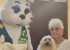 Reading with the Easter Bunny
