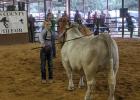 Cattle Showmanship Junior- Colton Ranly