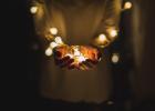 Photo by Josh Boot on Unsplash
