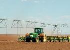 (Texas A&M AgriLife Extension Service photo)