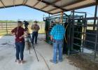 Live demonstrations were videoed for broadcast on the Texas A&M Virtual Beef Cattle Short Course. (Texas A&M AgriLife photo by Mary Leigh Meyer)