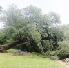 Faulkner Park